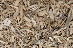 biomass boilers Gaywood